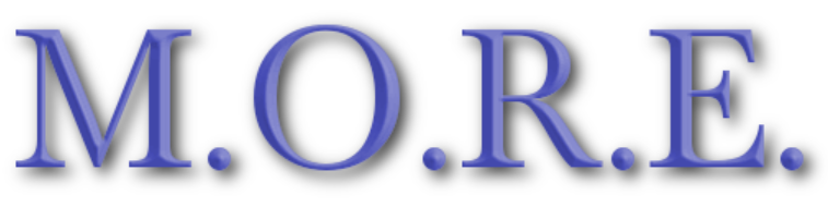 M.O.R.E. : the elements of Concierge Customer Service